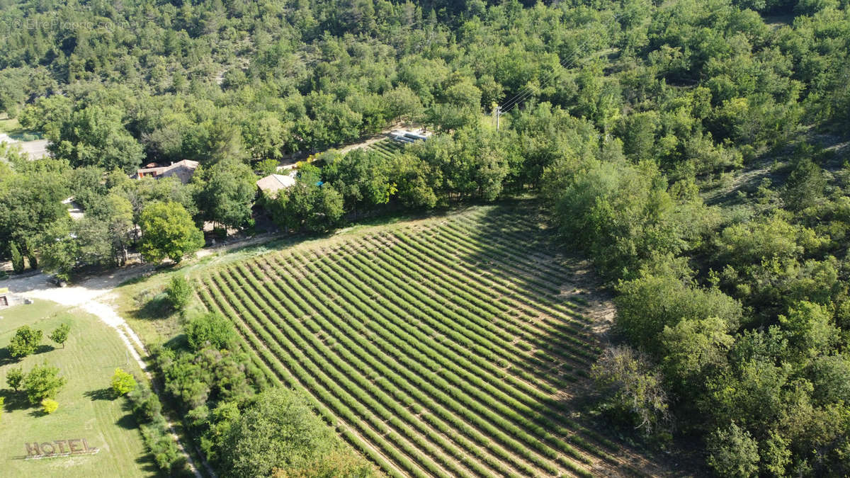 Autre à SAINT-MARTIN-DE-CASTILLON