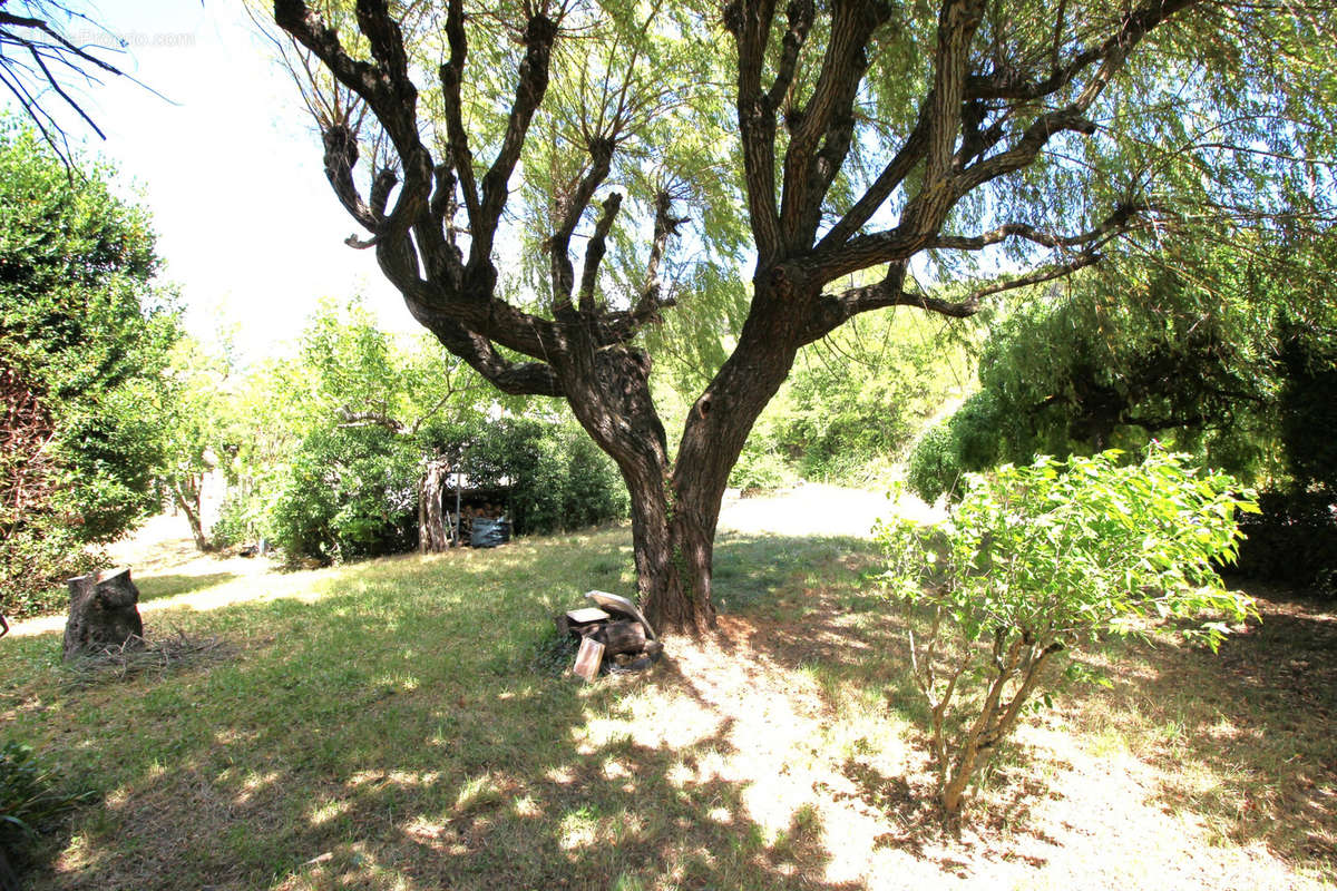 Maison à VAISON-LA-ROMAINE