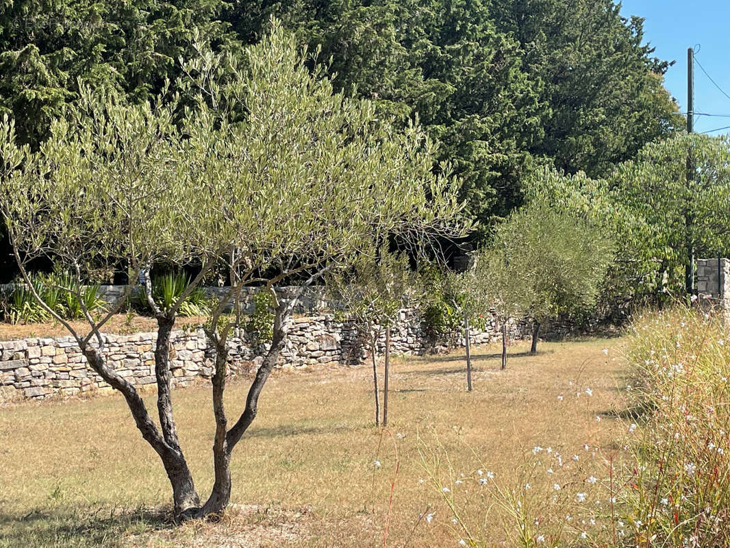 Maison à POMPIGNAN