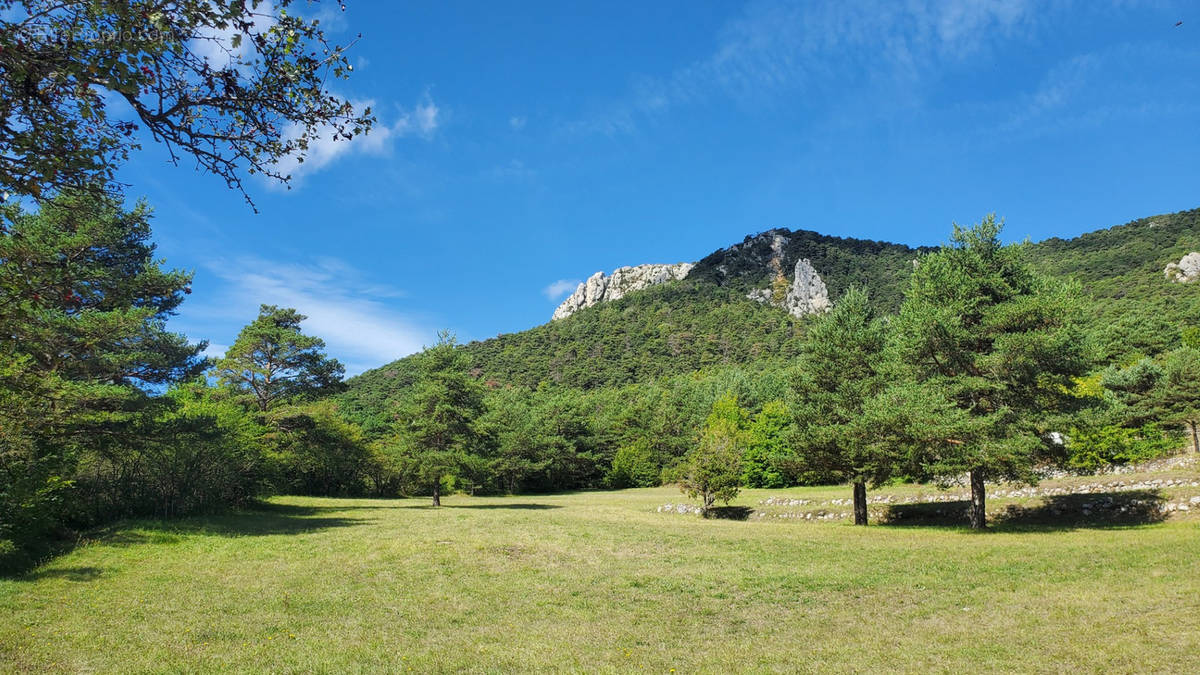 Terrain à SERANON