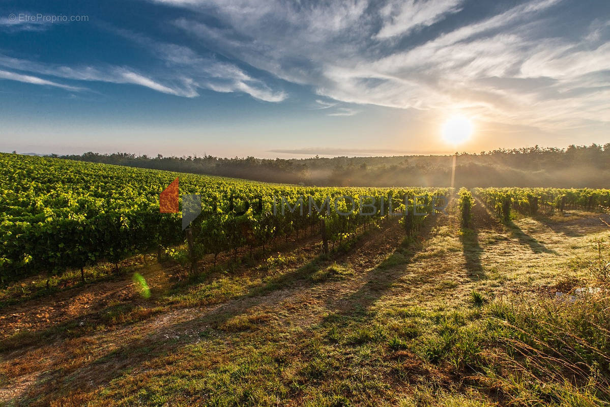 Terrain à BAIXAS