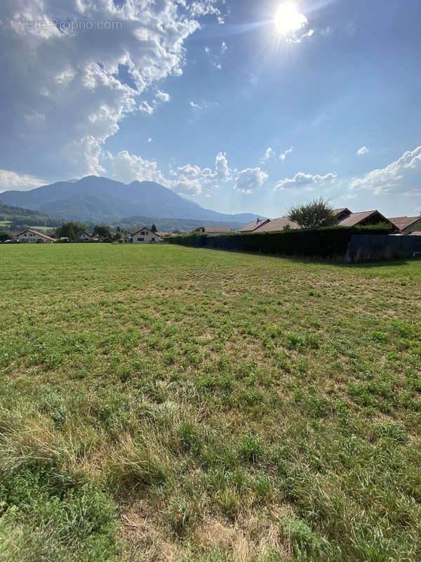 Terrain à SAINT-PIERRE-EN-FAUCIGNY