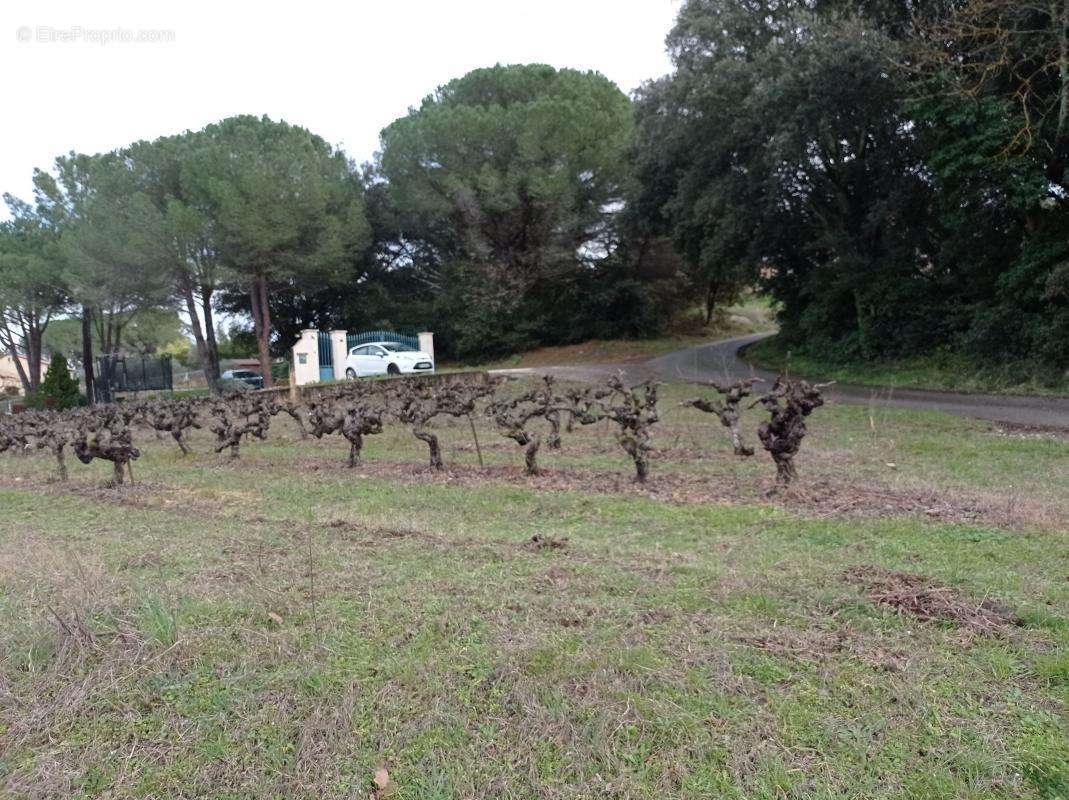 Terrain à POMMIERS