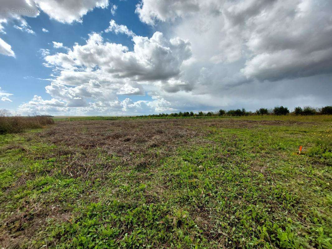 Terrain à BREUVERY-SUR-COOLE