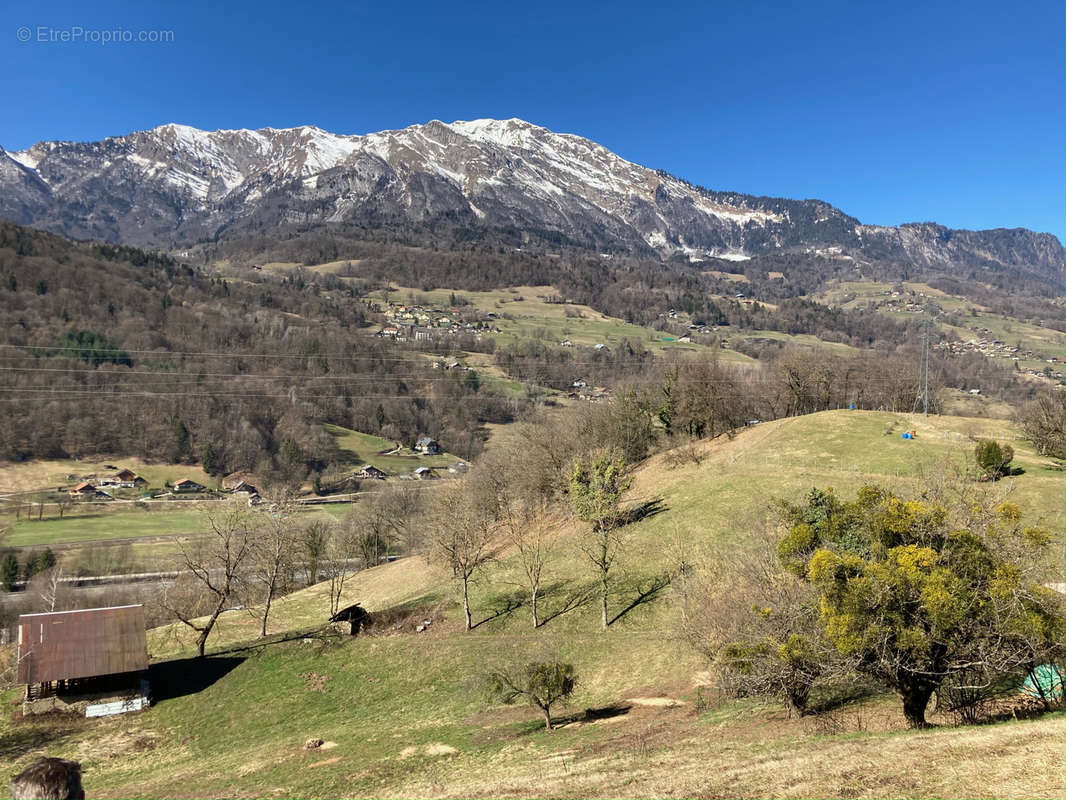 Terrain à CESARCHES