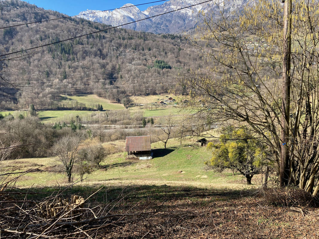 Terrain à CESARCHES