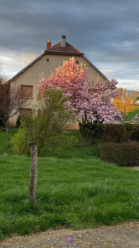 Maison à TALLANS