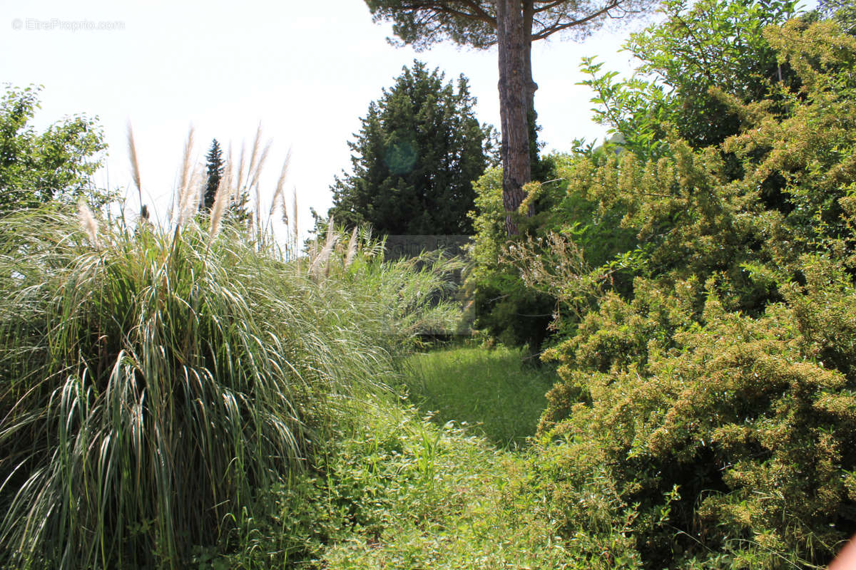 Terrain à VENCE