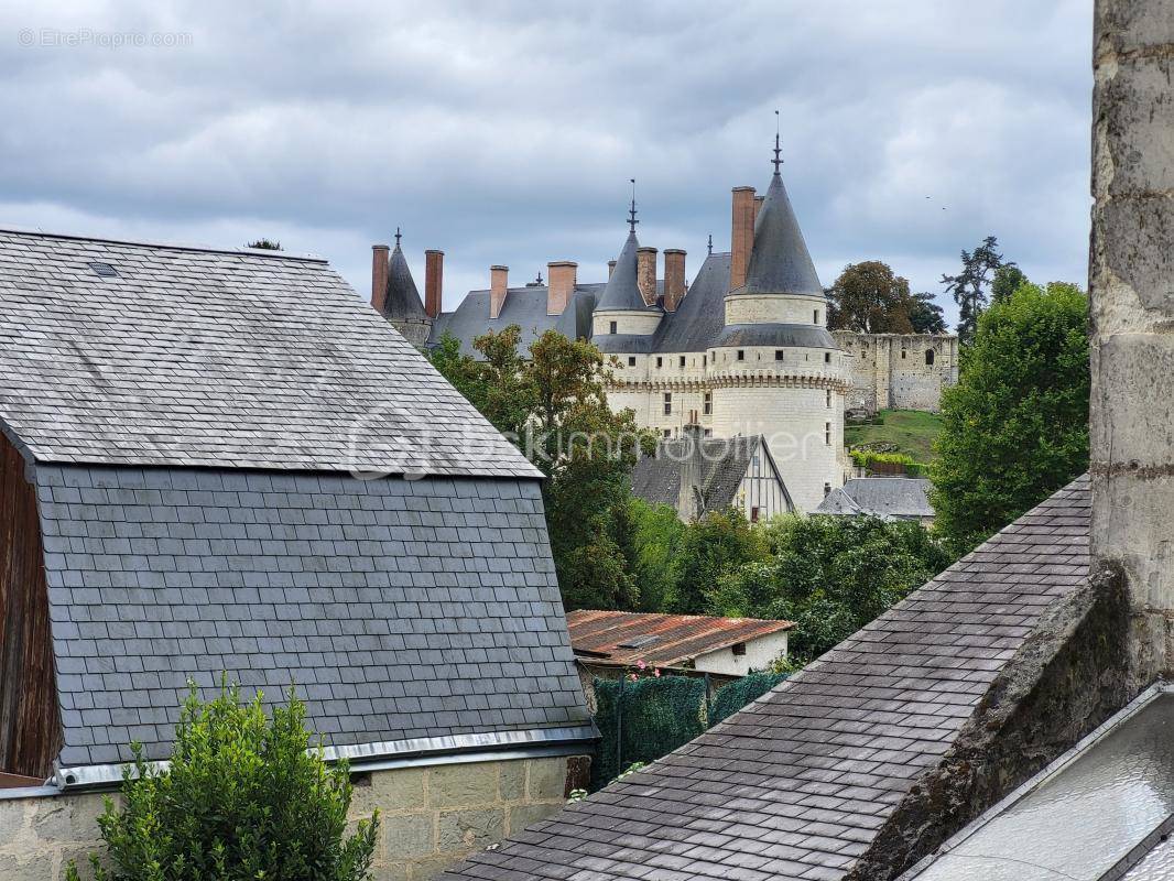 Appartement à LANGEAIS