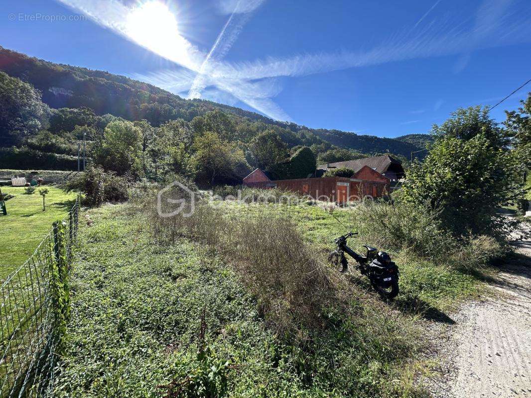 Terrain à SAINT-BERON