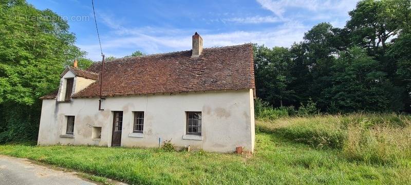 Maison à OBTERRE