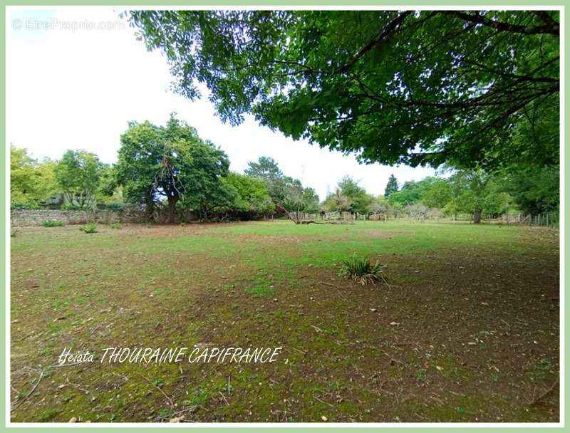 Terrain à SAINT-MAIXENT-L&#039;ECOLE