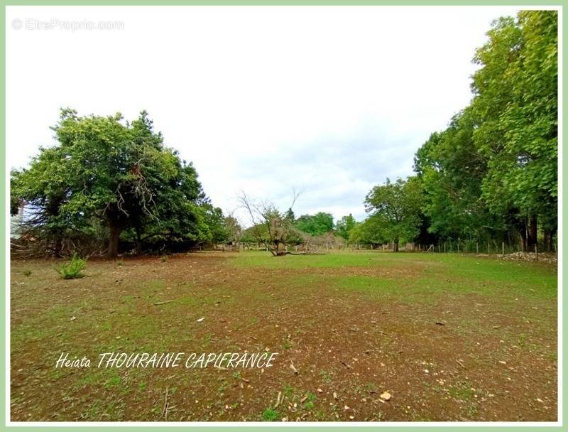 Terrain à SAINT-MAIXENT-L&#039;ECOLE