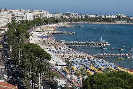 Commerce à CANNES