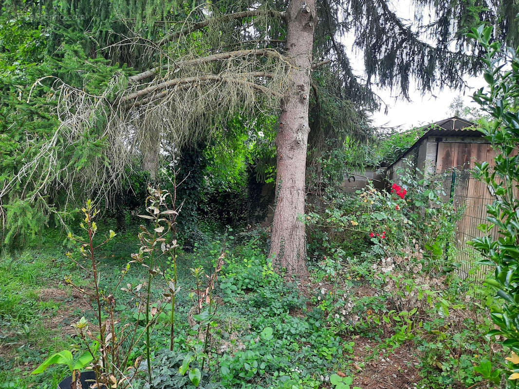 Maison à BOULOIRE