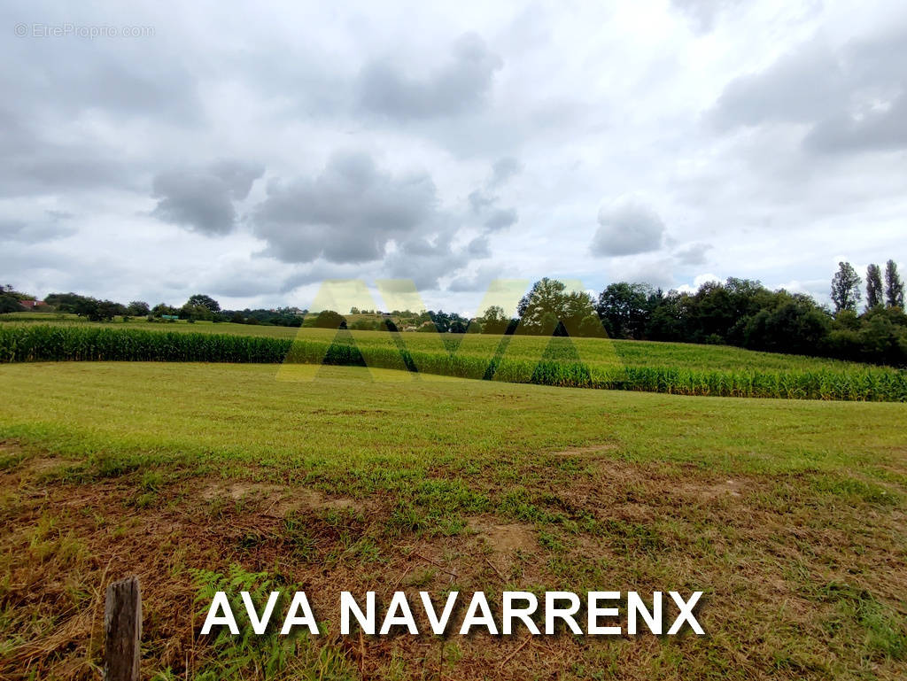 Terrain à NAVARRENX