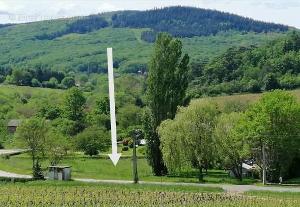 Terrain à MACON