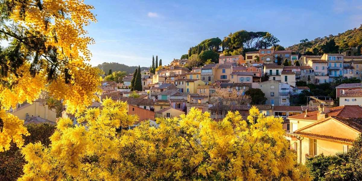 Appartement à BORMES-LES-MIMOSAS