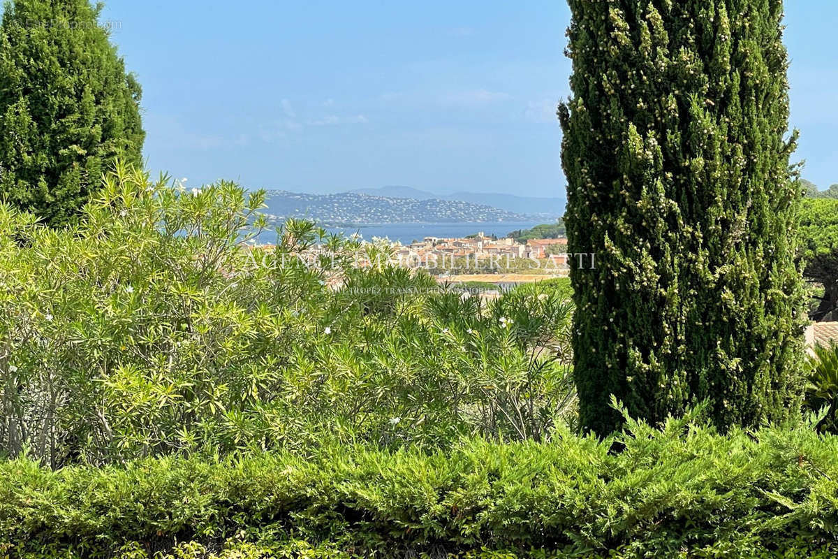 Maison à SAINT-TROPEZ