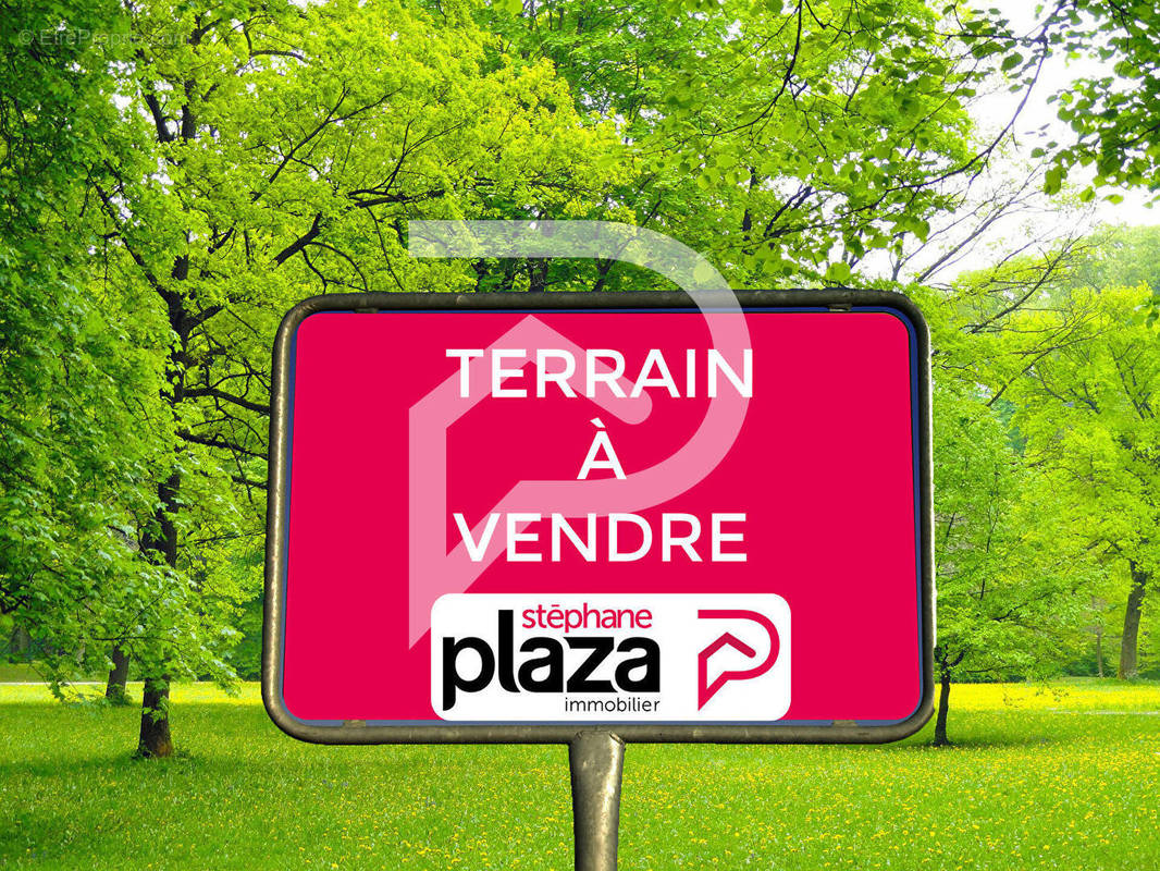 Terrain à DAMPMART