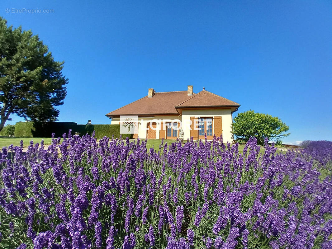 Maison à PIERRE-DE-BRESSE