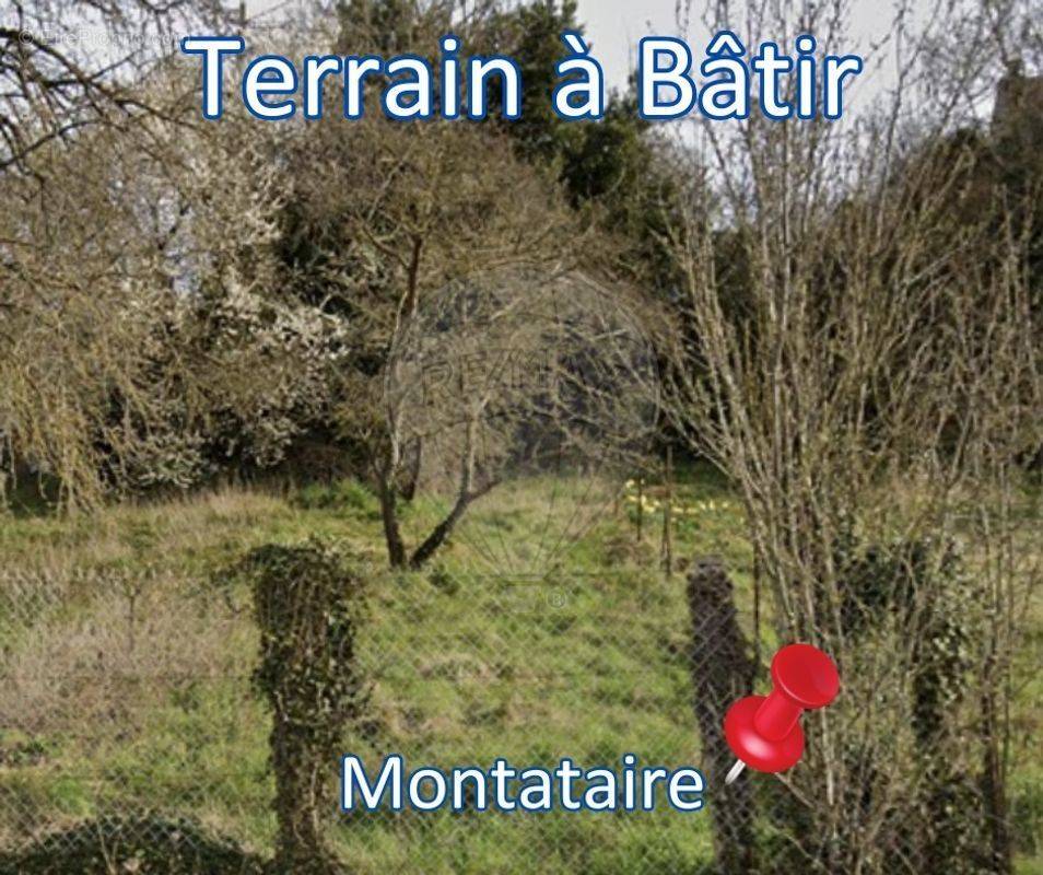 Terrain à MONTATAIRE