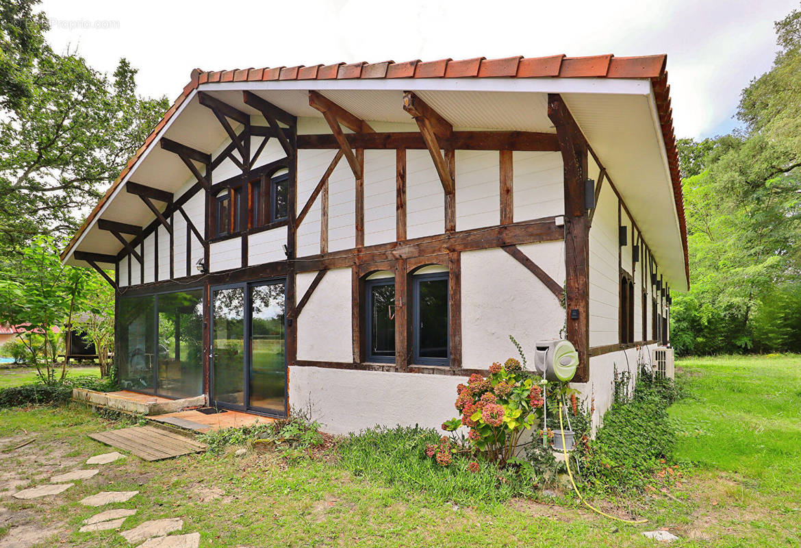 Maison à MESSANGES