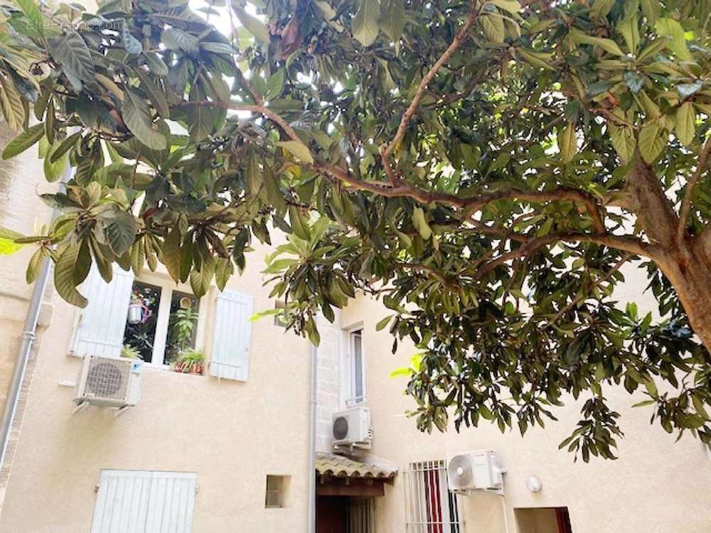 Appartement à AVIGNON