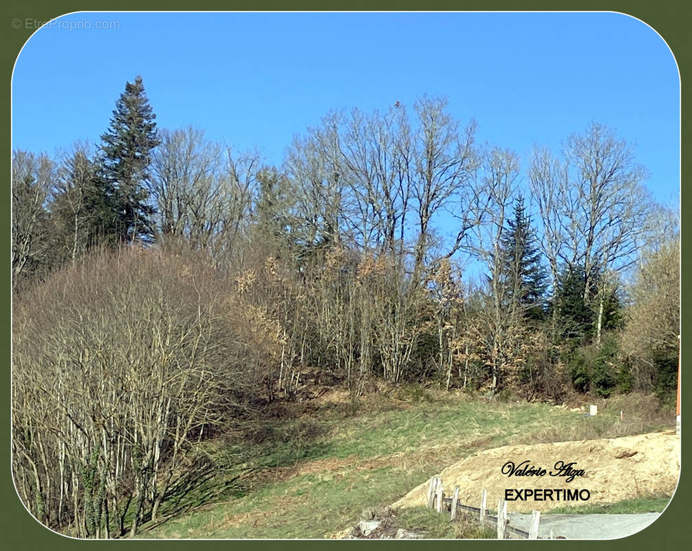 Terrain à LA SALVETAT-SUR-AGOUT