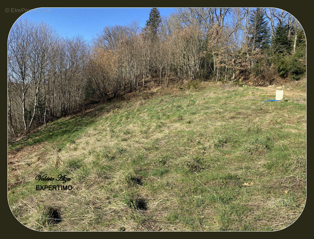 Terrain à LA SALVETAT-SUR-AGOUT