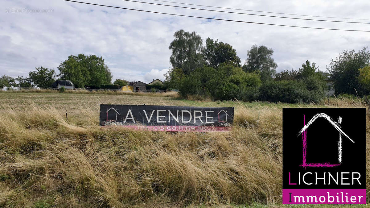 Terrain à WOELFLING-LES-SARREGUEMINES