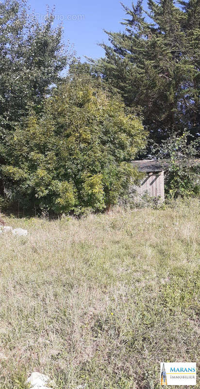 Vue de la parcelle arrière - Terrain à MARANS