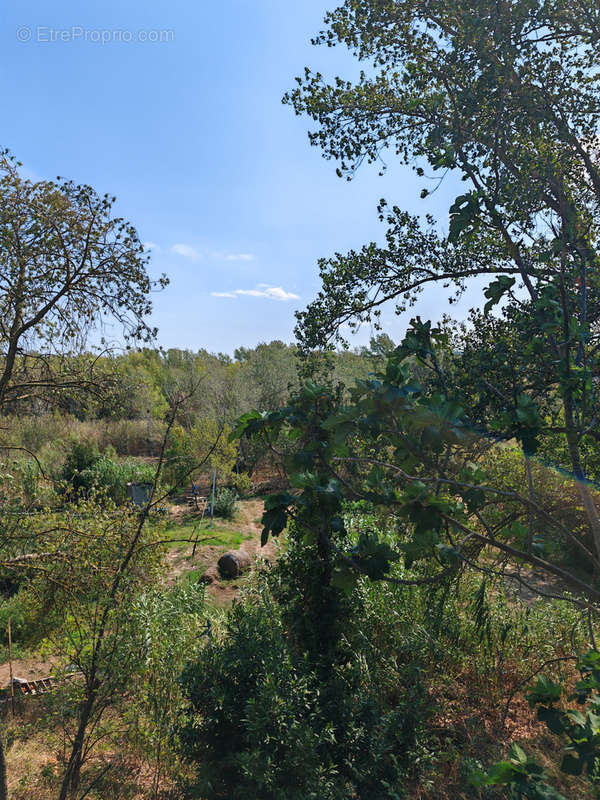 Terrain à FABREZAN