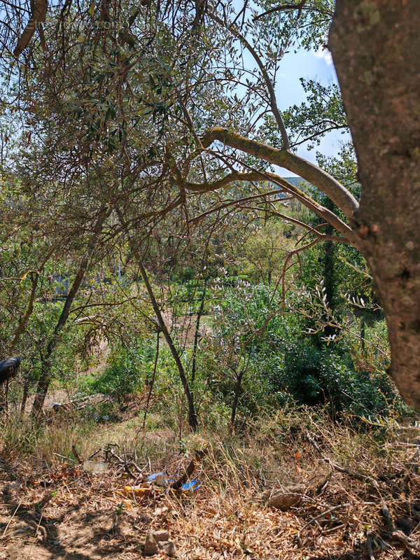 Terrain à FABREZAN