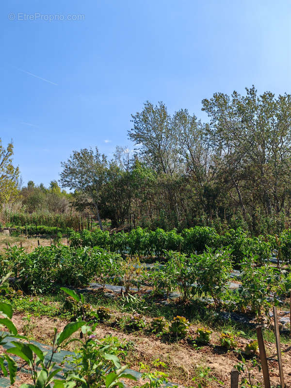 Terrain à FABREZAN