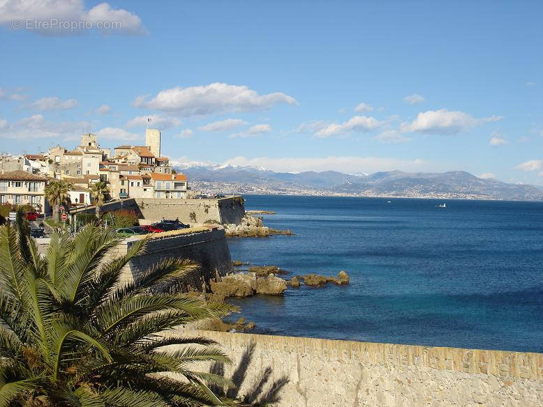 Commerce à ANTIBES