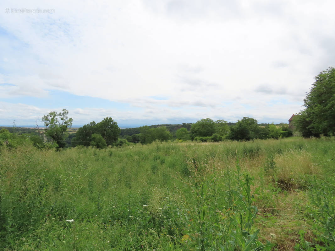 Terrain à BEGUES