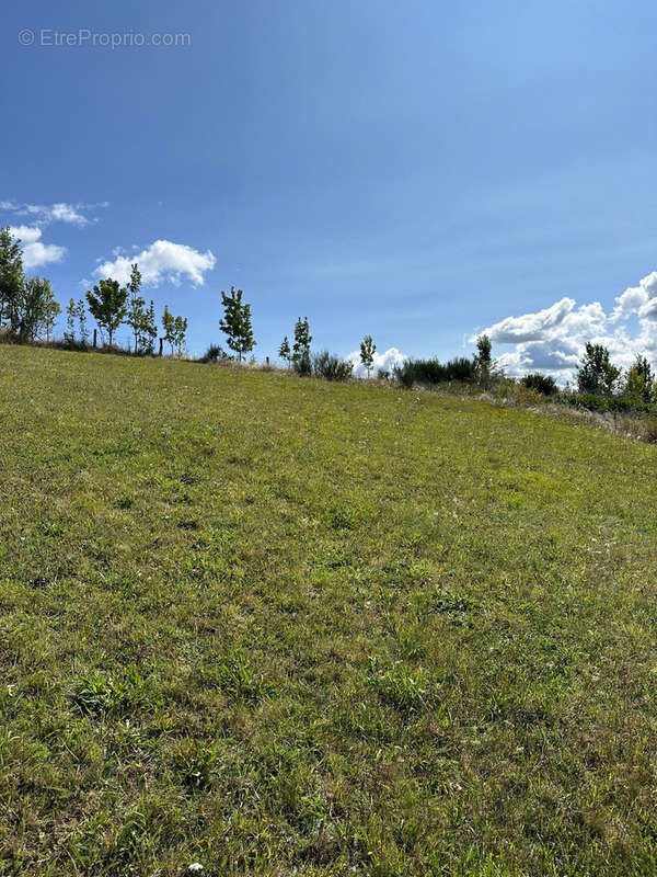 Terrain à LASSOUTS