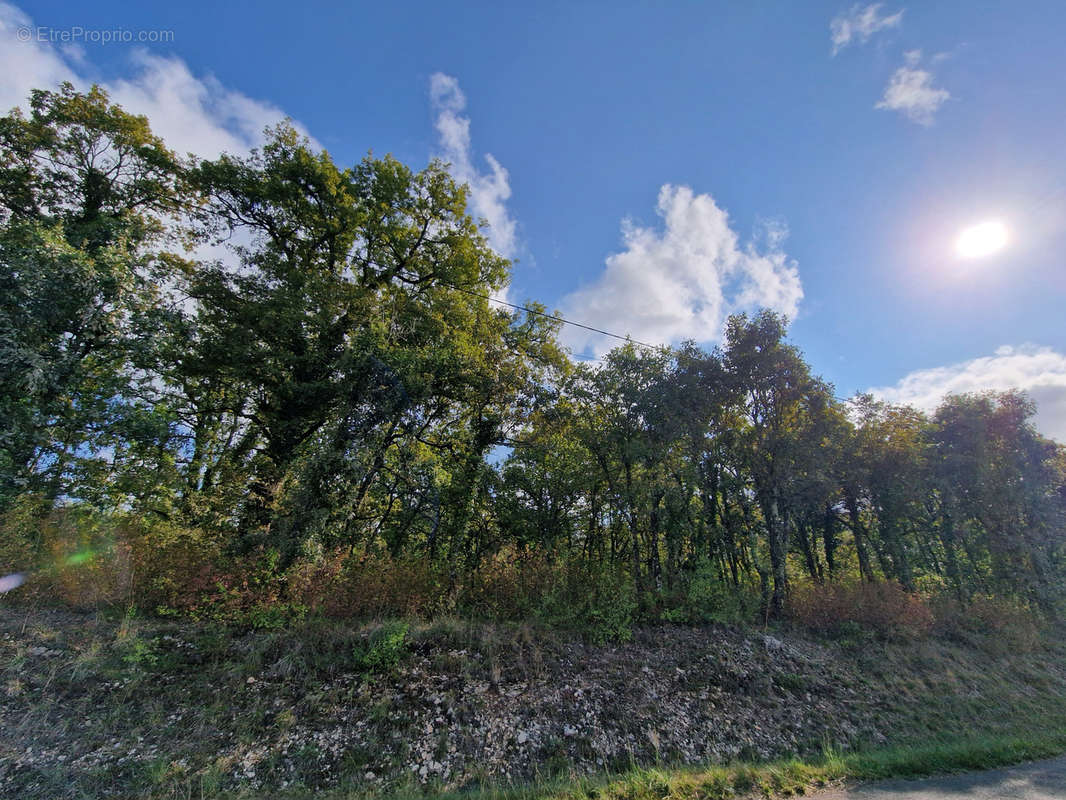 Terrain à NADAILLAC