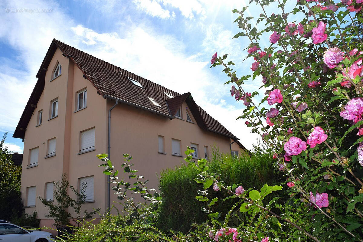 Appartement à ROESCHWOOG