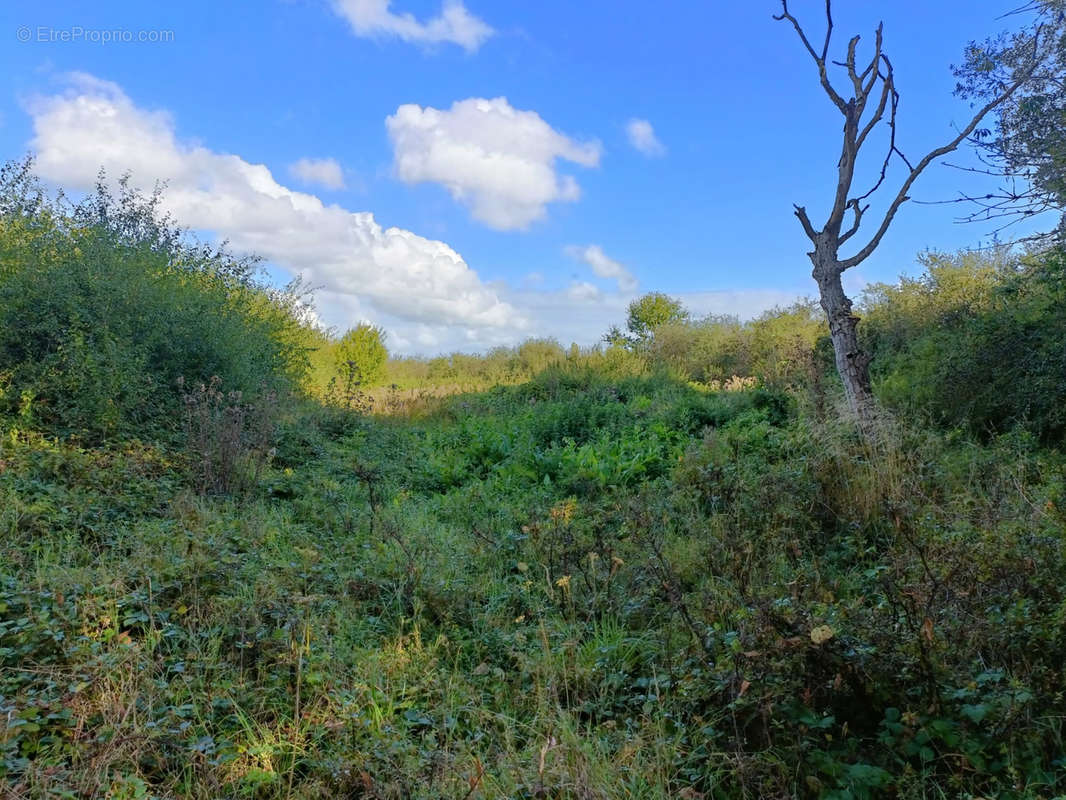 Terrain à LE PERRAY-EN-YVELINES