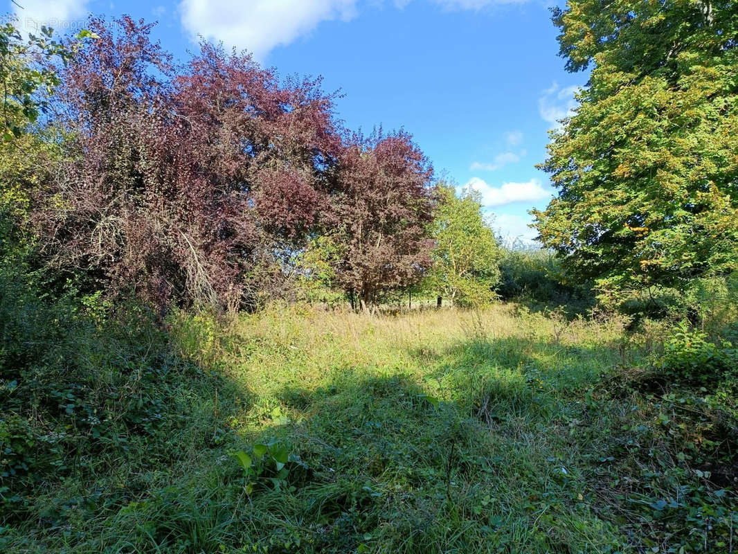 Terrain à LE PERRAY-EN-YVELINES