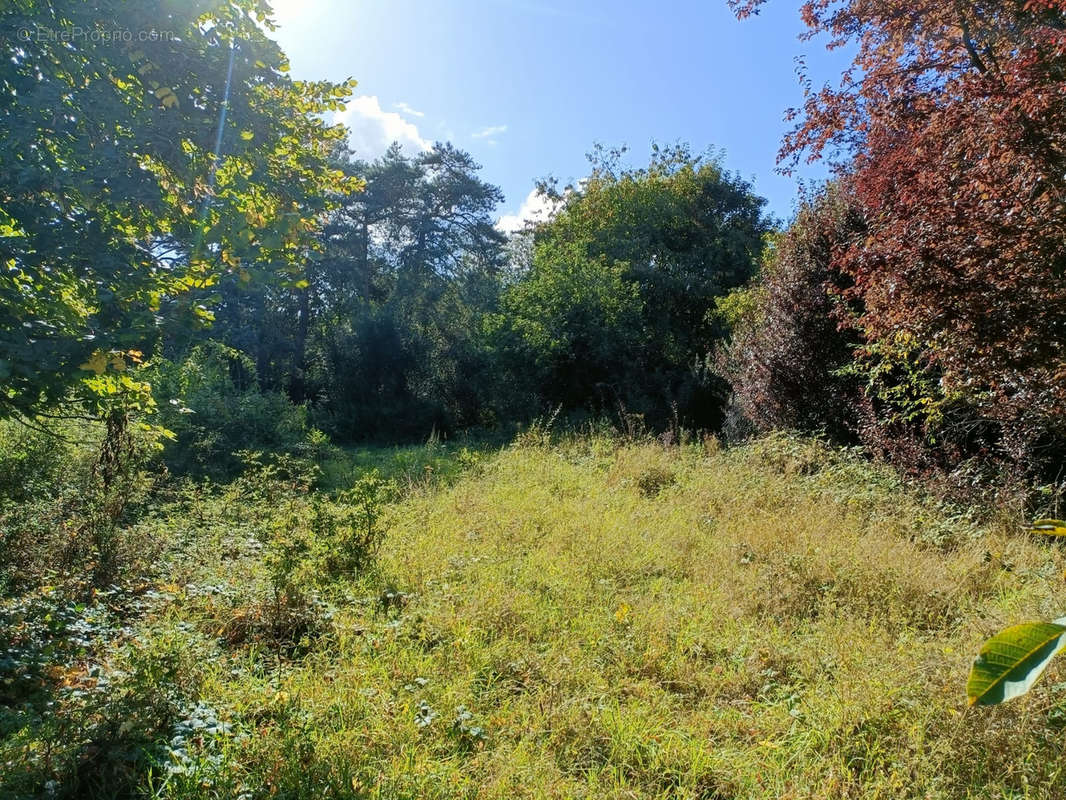 Terrain à LE PERRAY-EN-YVELINES