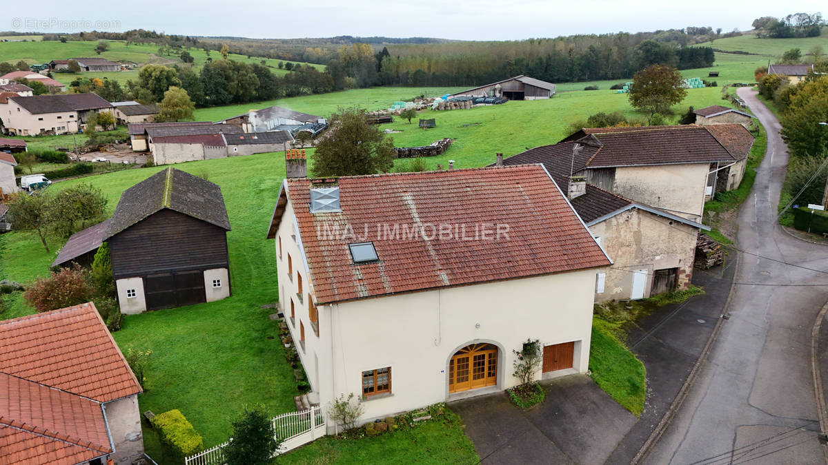 Maison à VILLE-SUR-ILLON