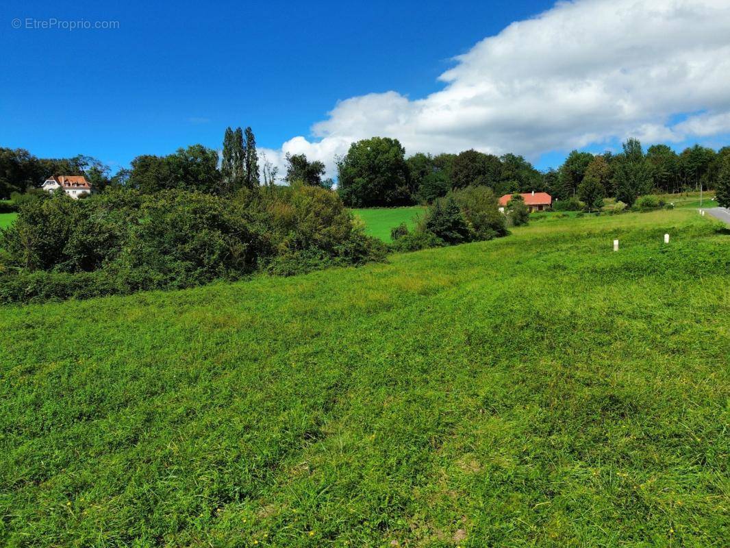 Terrain à SAUVETERRE-DE-BEARN