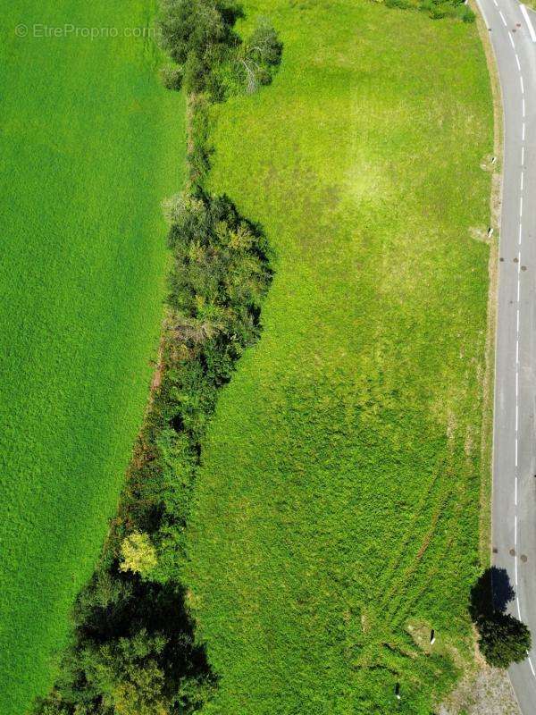 Terrain à SAUVETERRE-DE-BEARN