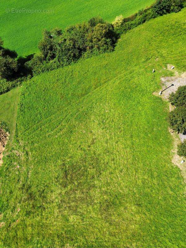 Terrain à SAUVETERRE-DE-BEARN