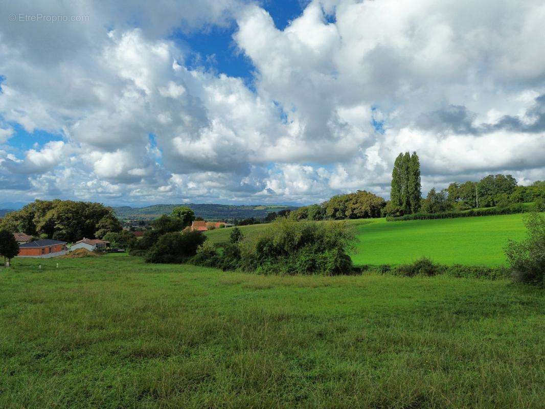 Terrain à SAUVETERRE-DE-BEARN