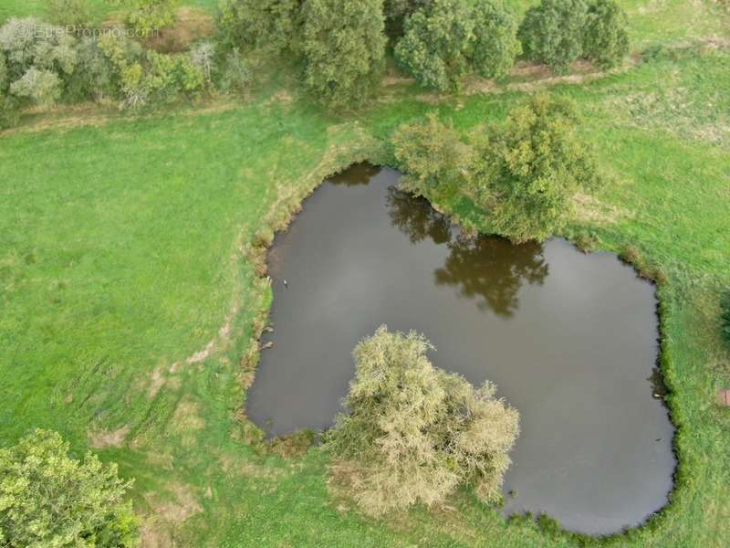 Terrain à ANCENIS