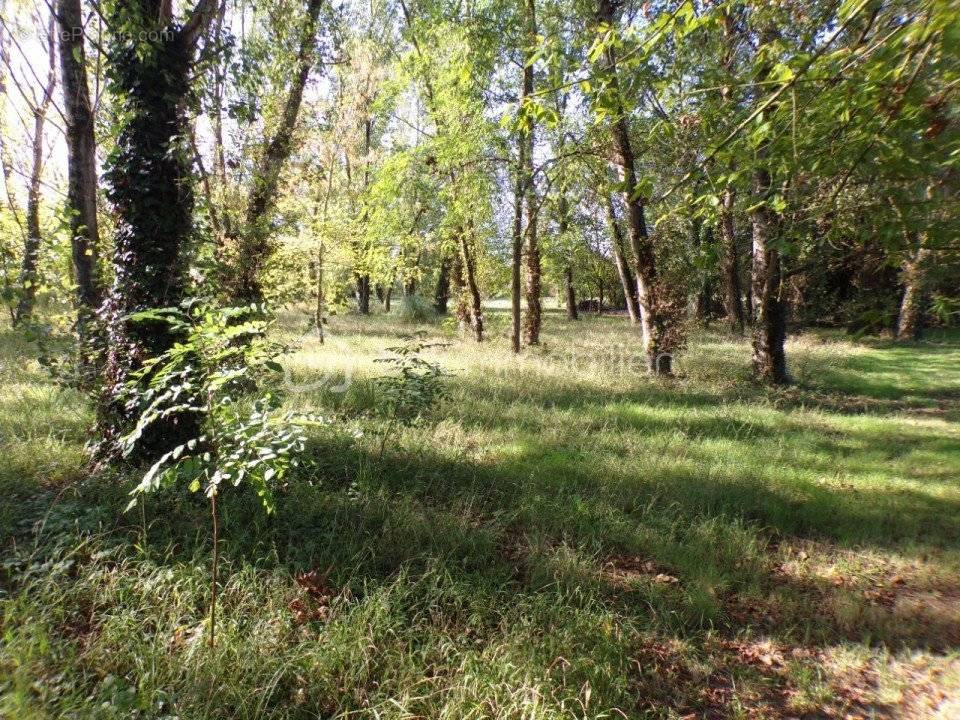 Terrain à COLAYRAC-SAINT-CIRQ